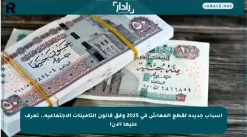 أسباب جديدة لقطع المعاش في 2025 وفق قانون التأمينات الاجتماعية.. تعرف عليها الآن!